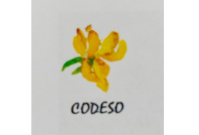 Logotipo CODESO Logotipo CODESO