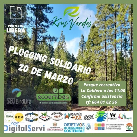 Cartel de la actividad