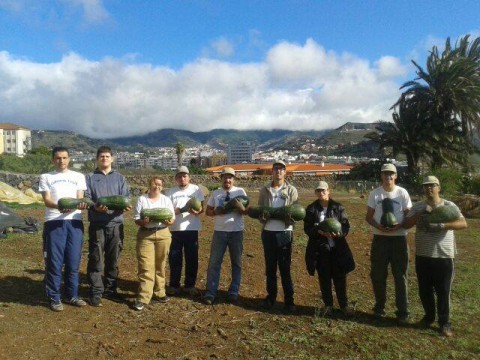 Personas con discapacidad realizando labores de jardinería