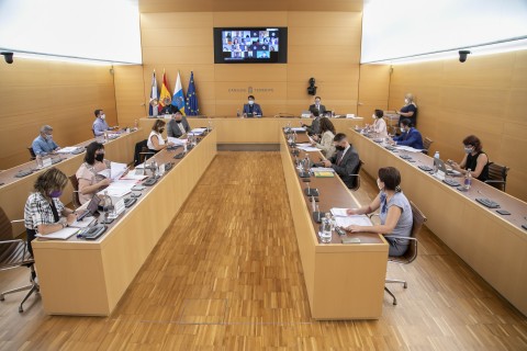 Un instante del Pleno del Cabildo 
