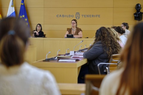 La consejera delegada de Igualdad y Prevención de la Violencia de Género del Cabildo de Tenerife, Priscila de León