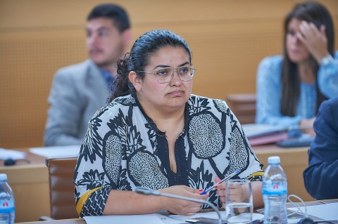 La Consejera Insular Coromoto Yanes