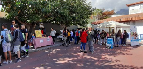 Zona de stands de las Entidades de Voluntariado