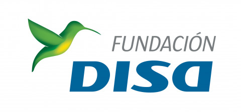 Logotipo Fundación DISA