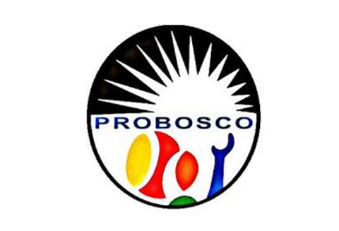 Logotipo PROBOSCO