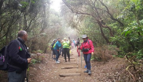 Uno de los grupos realiza una ruta por el Parque Rural de Anaga