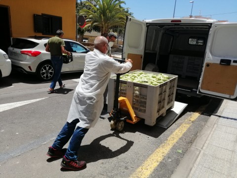 Donación de verduras de la Asociación Inclúyeme a los Ayuntamientos