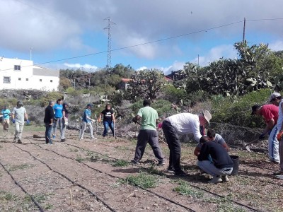 Trabajos de acondicionamiento en la finca de agricultura y jardinería ecológica de ATELSAM