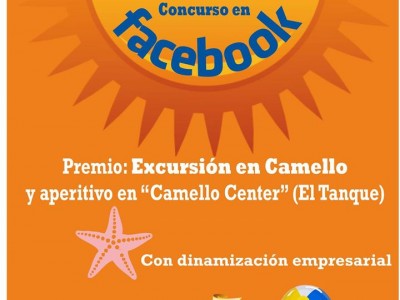 Cartel de la campaña de AFEDES