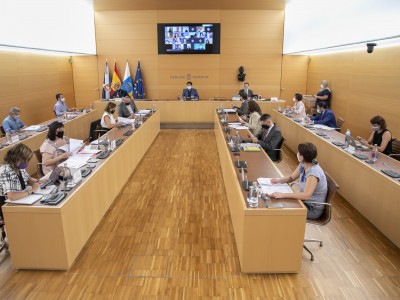 Un instante del Pleno del Cabildo 