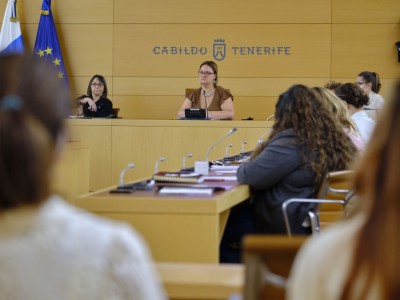 La consejera delegada de Igualdad y Prevención de la Violencia de Género del Cabildo de Tenerife, Priscila de León