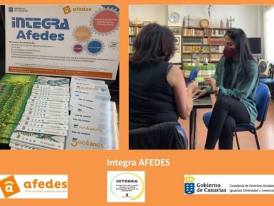 Proyecto “Integra AFEDES”