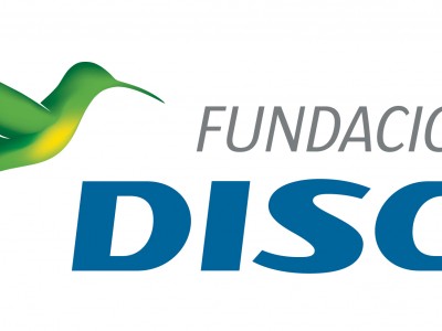 Logotipo Fundación DISA