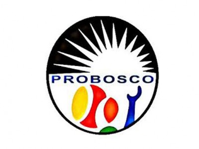 Logotipo PROBOSCO