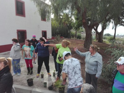 Un instante de la actividad de repoblación urbana en el centro de AMISUR