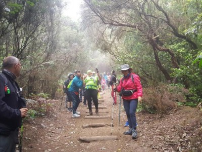 Uno de los grupos realiza una ruta por el Parque Rural de Anaga