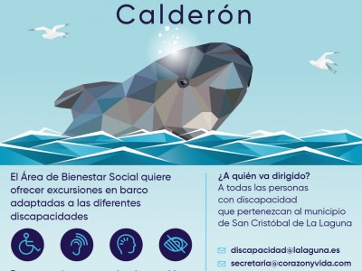 Cartel del "Proyecto Calderón"