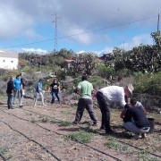 Trabajos de acondicionamiento en la finca de agricultura y jardinería ecológica de ATELSAM