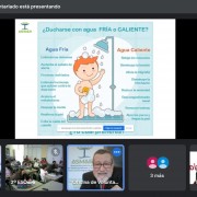 Un instante de la charla Online