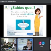 Un instante de la charla Online