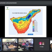 Un instante de la charla Online