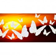 Mariposas Blancas