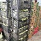 Donación de verduras de la Asociación Inclúyeme a los Ayuntamientos